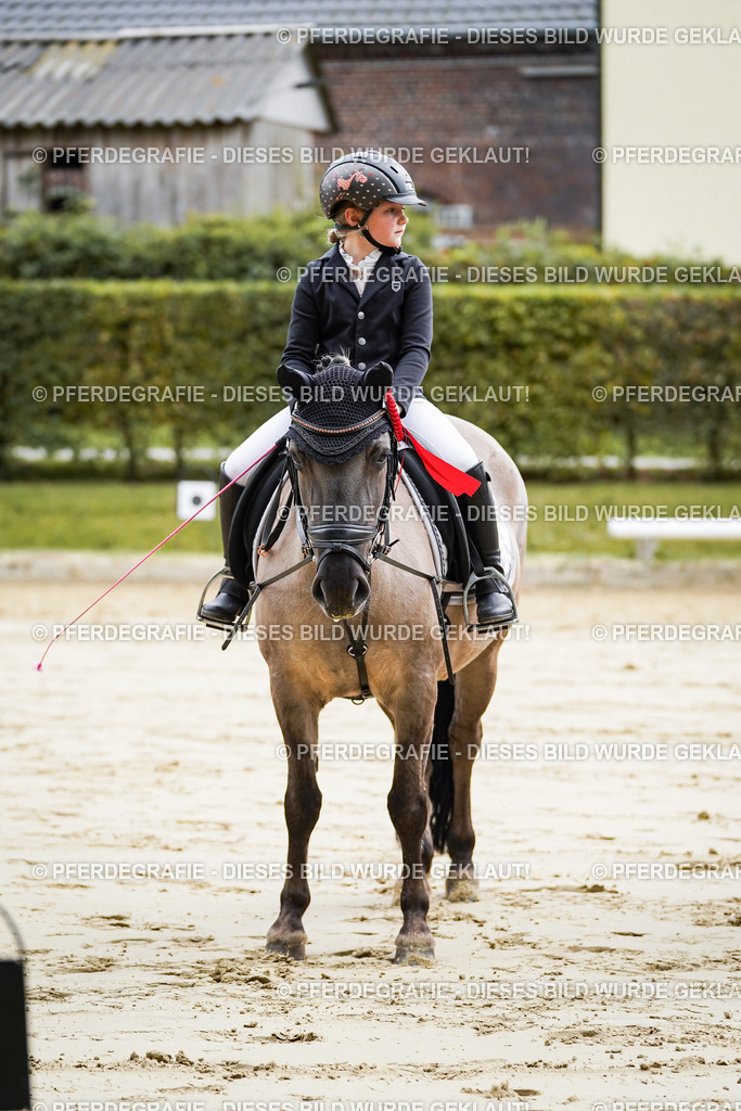 DSC05766 | Pferdegrafie