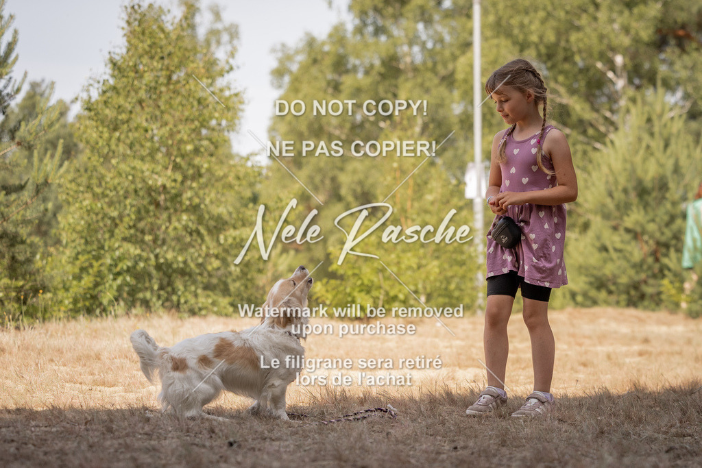 nelerasche_soDD2_289 | nelerasche