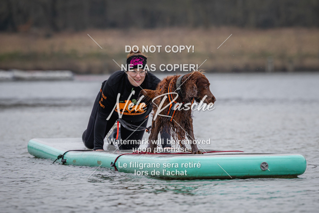 nelerasche_Hulsbeek_Sa1430-1515_547 | nelerasche