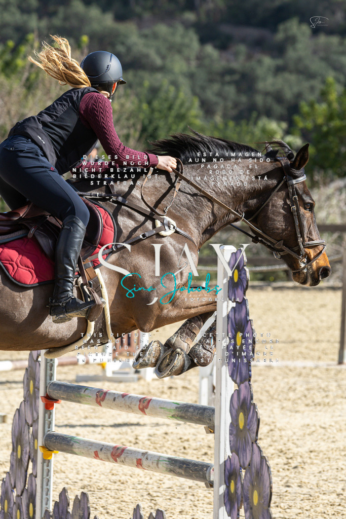 IMG_4043 | s-jay-photography - Realisiert mit Pictrs.com