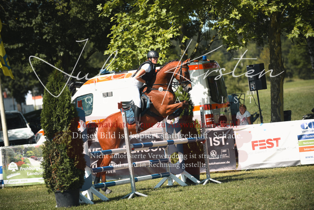 DSC_6943 | Pferde- und Turnierfotografie in Westsachsen. Pferdeportraits, Auftragszeichnungen und intuitive Kunst.