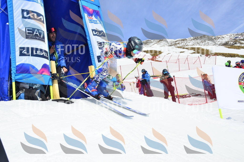 _ELE1722 | holidayphoto