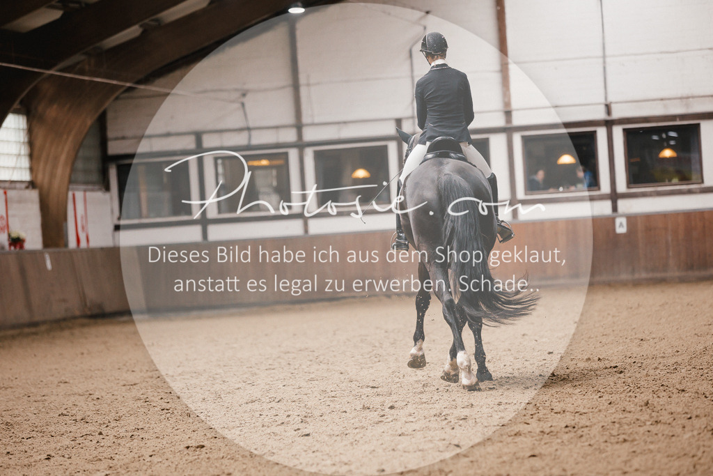 3I6A8985 | Stimmungsvolle Portraits und Reitsportfotografie im Ruhrgebiet und im Münsterland.

Pferdefotografie, Hundefotografie, Tierfotografie, Reportagen, Portraits von Tier und Mensch, Turnierfotografie in Bochum, Recklinghausen, Marl, Haltern am See, Dülmen.. - Realisiert mit Pictrs.com