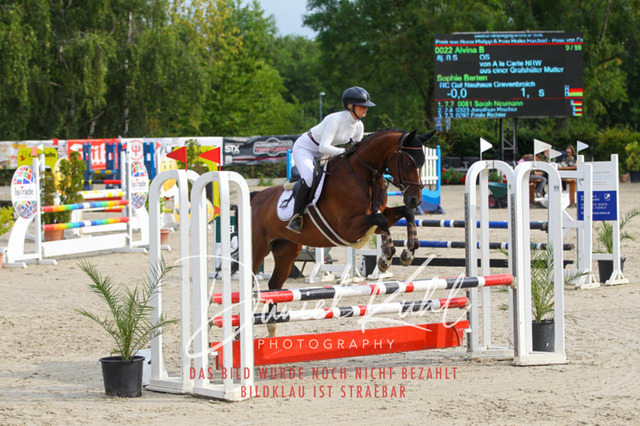 Gut Blee25_Amateuer Stilsprpfg Kl A_0064 | Turniersportfotografie; Pferdefotografie; Dressurfotografie