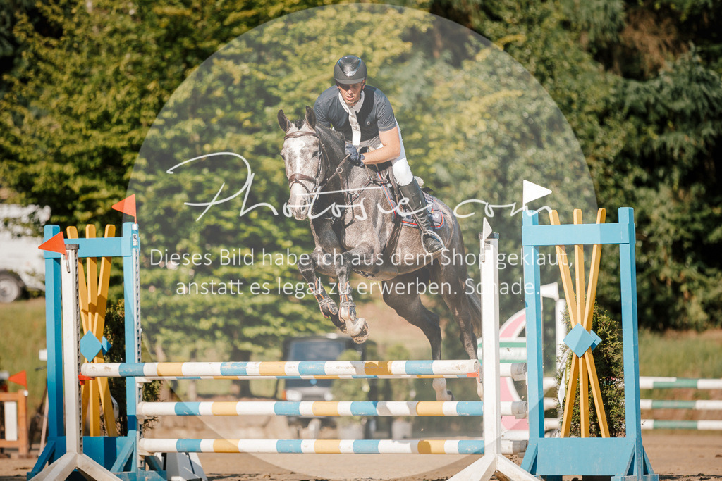 3I6A6314 | Stimmungsvolle Portraits und Reitsportfotografie im Ruhrgebiet und im Münsterland.

Pferdefotografie, Hundefotografie, Tierfotografie, Reportagen, Portraits von Tier und Mensch, Turnierfotografie in Bochum, Recklinghausen, Marl, Haltern am See, Dülmen.. - Realisiert mit Pictrs.com