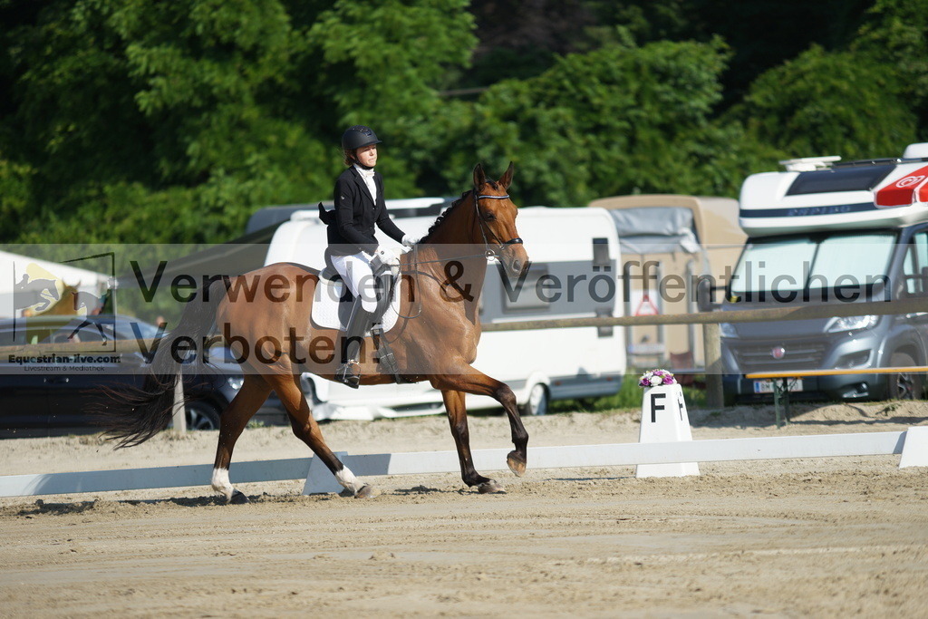 DSC04070 | equestrian-live-com