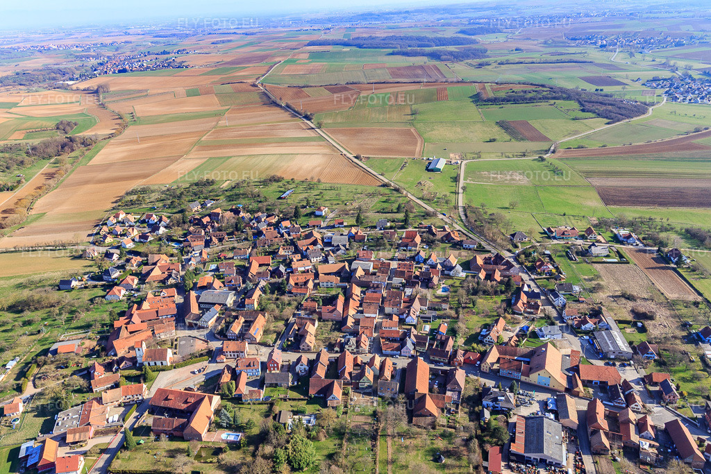 Vue aérienne: Vue de la ville depuis le nord à Ringendorf dans le département Bas Rhin, France – .Photo: IMG_097525.jpg prise le 16/03/2017 par Werner Riehm/FLY-FOTO.eu – Résolution de l'original: 4913 x 3275 px