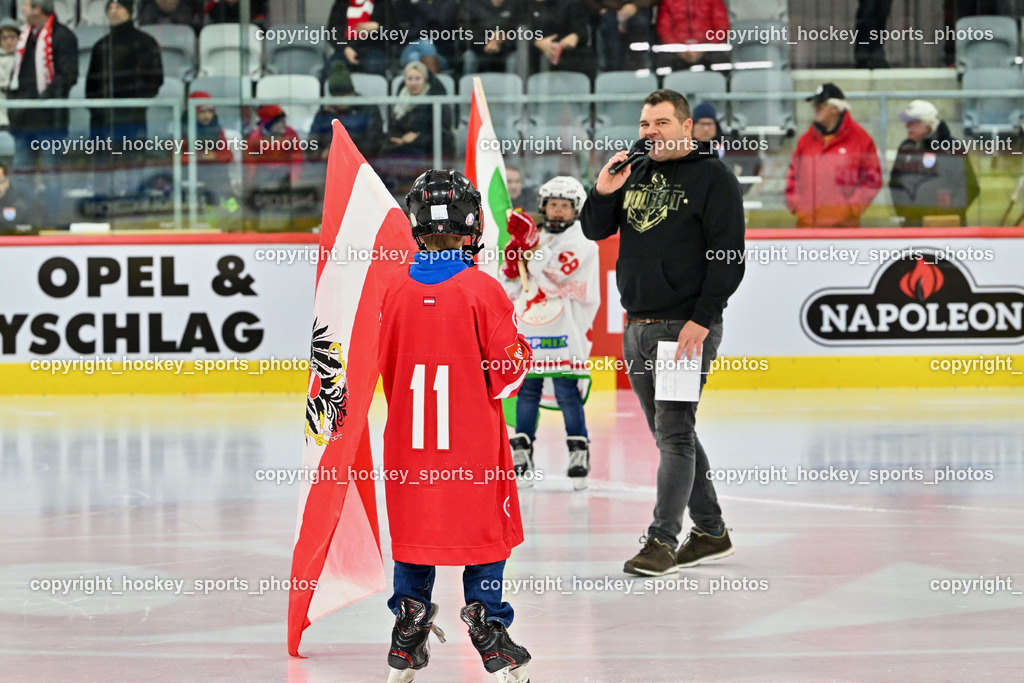 Österreich vs. Ungarn 14.12.2023 | Österreich vs. Ungarn 14.12.2023, Österreich vs. Ungarn  am 14.12.2023 in Klagenfurt (Heidi Horten Arena), Austria, (Photo by Bernd Stefan)