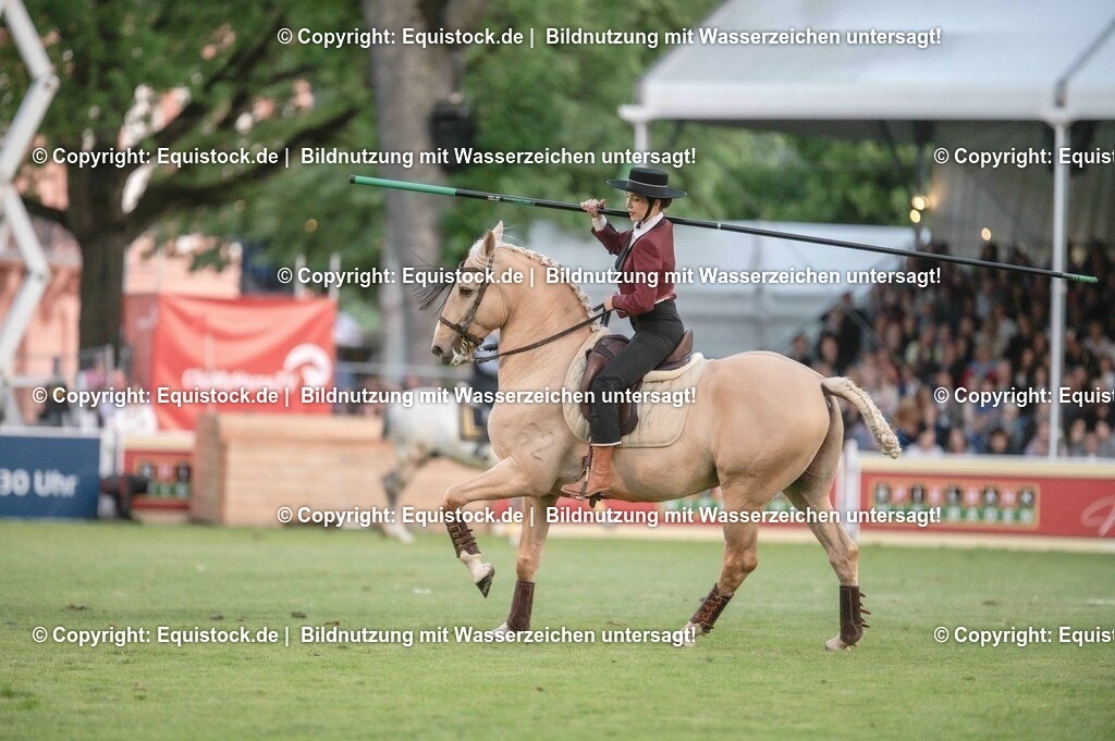 20230526_Pferdenacht_0748 | equistock