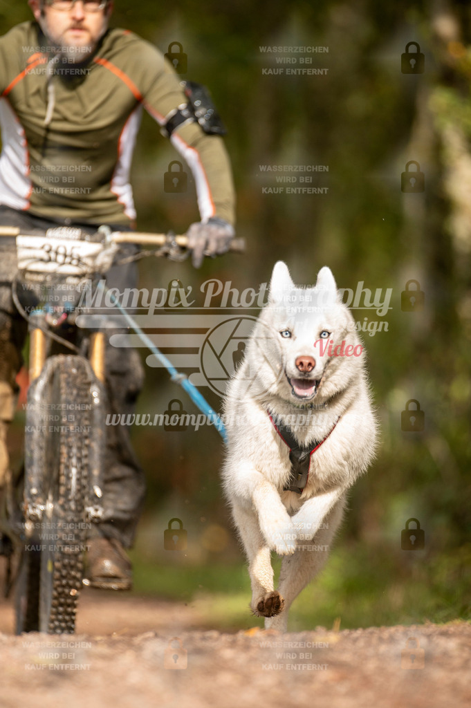 TSB_2023_E4_Bike-80 | PayLife