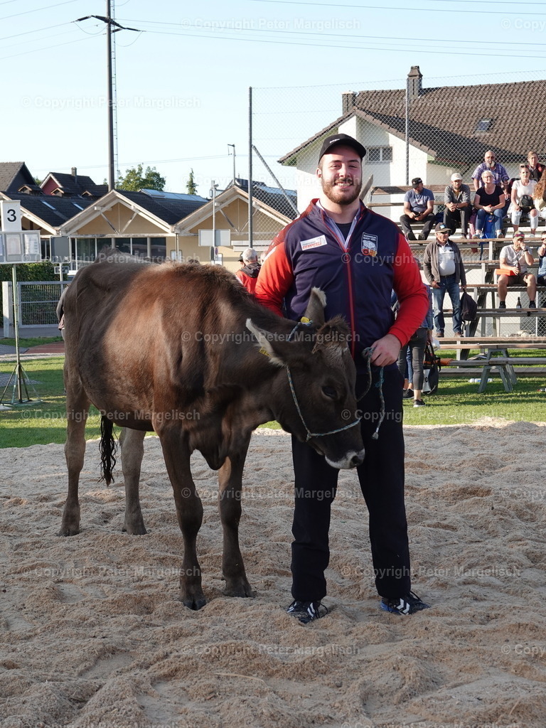 DSC05710 | Schwingen - Realisiert mit Pictrs.com