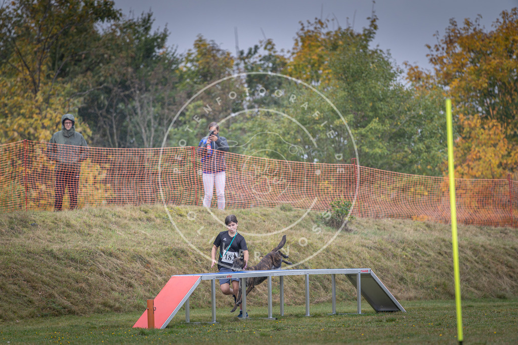 Pfotenfotografie_DV3A0332 | Hundefotografie, Tierfotograf, Pfotenfotografie, Fotoshooting Hund, Hunde Portrait, Hundesport, Hundeportraits, Heideshooting, Hunde, Sportfotograf, Hundefotograf, Turnierhundsport, THS,  - Realisiert mit Pictrs.com