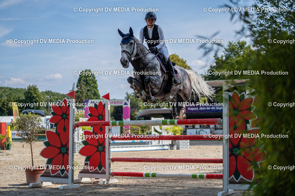 Hessische Tag 1-1617 | dv-media-shop - Realisiert mit Pictrs.com