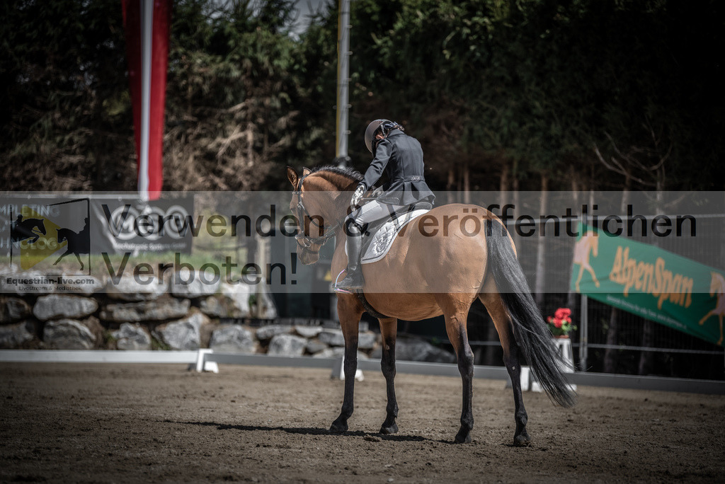 DSC_0828 | equestrian-live-com
