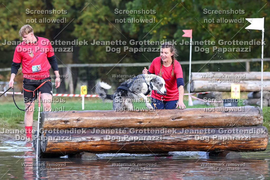 Dog Paparazzi - Strongdog 10-25-6989 | Dog Paparazzi Jeanette Grottendiek Fotografie & Videografie - Realisiert mit Pictrs.com