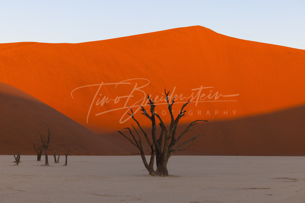 2N8A0418 Kopie | Buy high-quality aviation and travel photography prints by professional photographer Timo Breidenstein. Authentic images, professionally printed, worldwide shipping. - Realisiert mit Pictrs.com