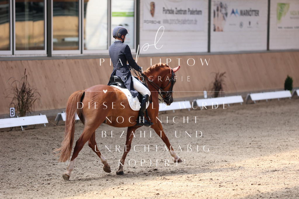 IMGM4294 | pl-fotografie