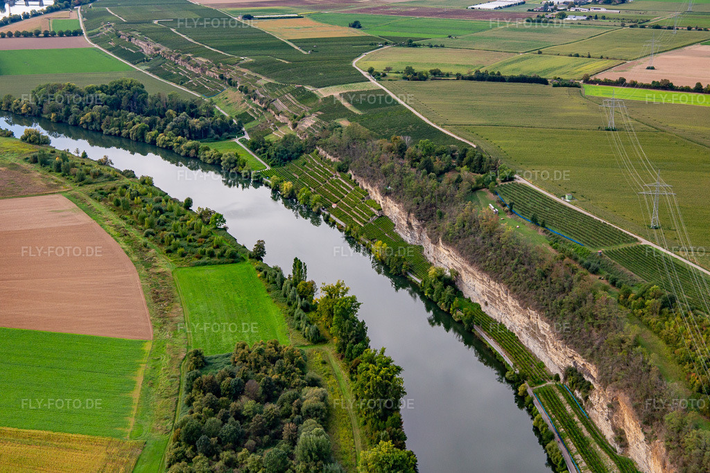Luftbild: Steilufer am Neckar in Lauffen am Neckar im Bundesland Baden-Württemberg in Deutschland. Foto: IMG_138655.jpg vom 16.09.2023 durch Werner Riehm/FLY-FOTO.de