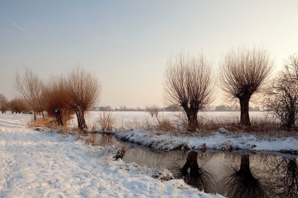 100107-023 | Europa, DEU, Deutschland, Nordrhein Westfalen, NRW, Rheinland, Niederrhein, Hoerstgen, Winter, Schnee, Baeume, Typische Kopfweiden, Kategorien und Themen, Natur, Umwelt, Landschaft, Jahreszeiten, Stimmungen, Landschaftsfotografie, Landschaften, Landschaftsphoto, Landschaftsphotographie, Naturschutz, Naturschutzgebiete, Landschaftsschutz, Biotop, Biotope, Landschaftsschutzgebiete, Landschaftsschutzgebiet, Oekologie, Oekologisch, Typisch, Landschaftstypisch, Landschaftspflege

[Fuer die Nutzung gelten die jeweils gueltigen Allgemeinen Liefer-und Geschaeftsbedingungen. Nutzung nur gegen Verwendungsmeldung und Nachweis. Download der AGB unter http://www.image-box.com oder werden auf Anfrage zugesendet. Freigabe ist vorher erforderlich. Jede Nutzung des Fotos ist honorarpflichtig gemaess derzeit gueltiger MFM Liste - Kontakt, Uwe Schmid-Fotografie, Duisburg, Tel. (+49).2065.677997, 
archiv@image-box.com, www.image-box.com] - Realisiert mit Pictrs.com
