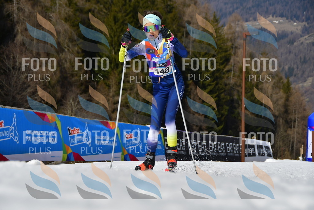 _DSC0230 | holidayphoto