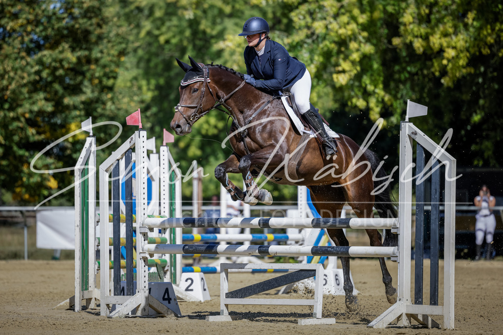 20250906-_3LI3828 | Tierfotografie Pferde, Hunde, Katzen, Haustiere.
Turnierfotografie Reitturniere, Reiten, Springreiten, Dressur in Hanau, dem Main-Kinzig-Kreis und dem Rhein-Main- Gebiet um Frankfurt
