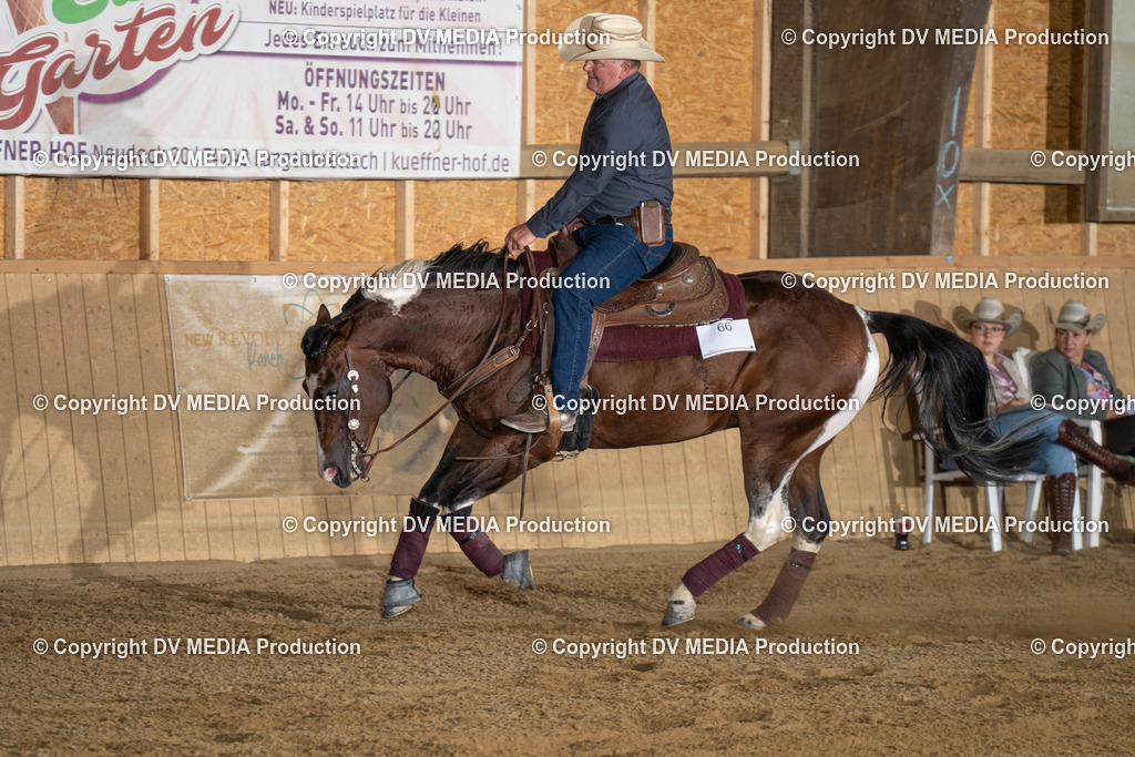 DSC00065 | dv-media-shop - Realisiert mit Pictrs.com