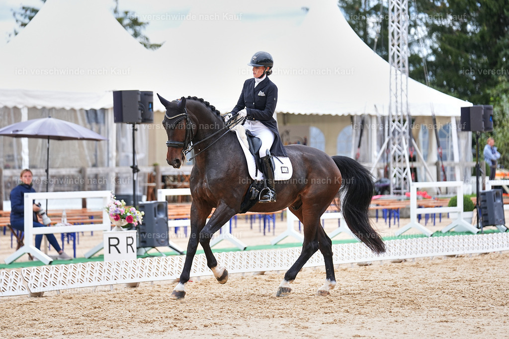 6-113-AMATUER-DRESSUR S_  -Marixx-3756 | working equitationturnier fotograf videograf stoibphotography marixx film working equitation deutschland reitsport turnierfotografie eventfotografie equestrian events