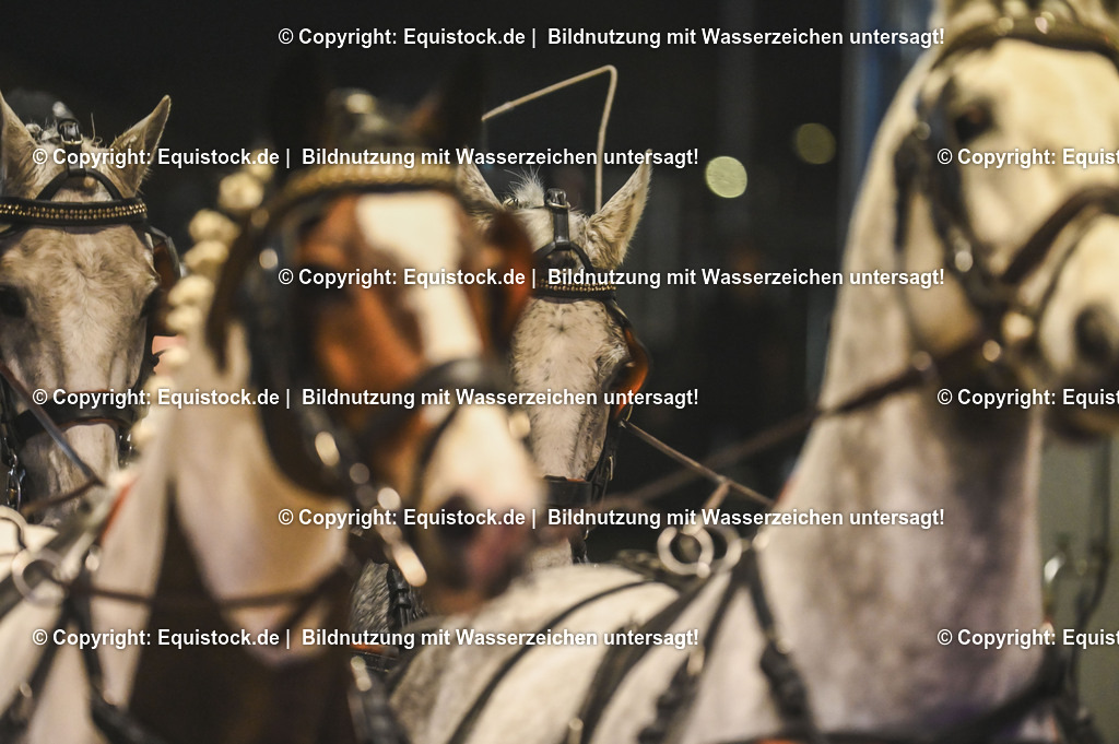 20241115_Fahren-iWest_TOMsPiC_0483 | Foto: Thomas Hartig