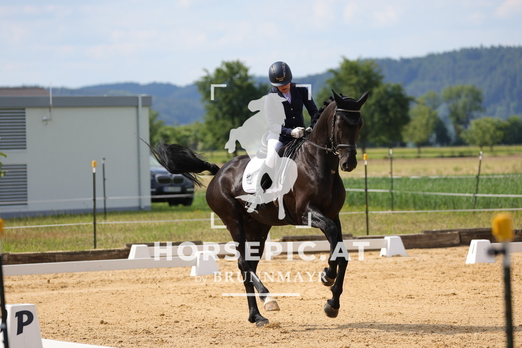 0P6A9110 | Willkommen bei Brunnmayr - Design & Fotografie – Ihrem Spezialisten für Reitturniere und Pferdeveranstaltungen in Oberösterreich, Salzburg und Bayern! Seit über 17 Jahren sind wir leidenschaftlich dabei.