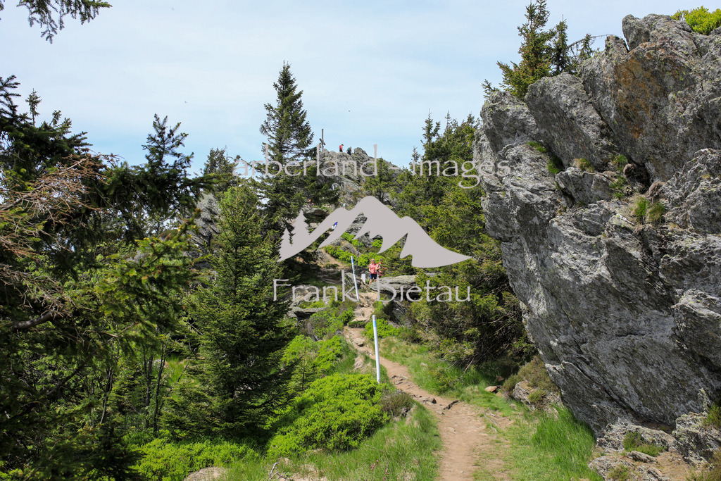 OE7A6487 | Am Gipfel des Osser.  Der Osser ist wegen seines alpinen Charakters einer der schönsten Berge des Bayerischen Waldes.  Die beiden Gipfel (Gr0ßer Osser - 1.293 Meter und Kleiner Osser - 1.266 Meter) prägen die Kulisse des Lamer Winkels.