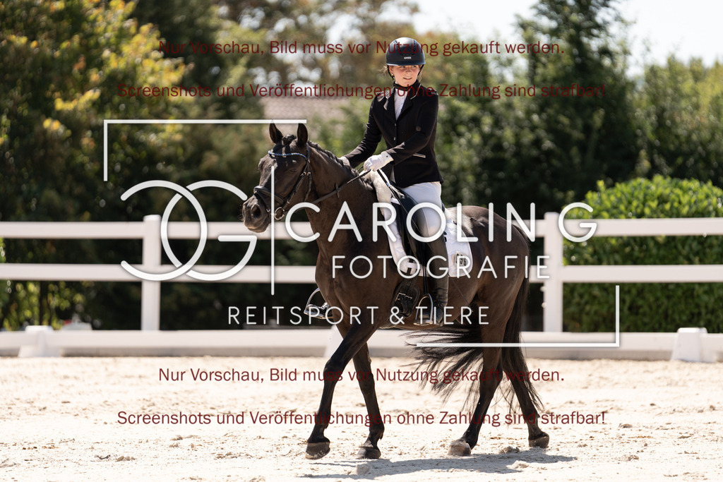 DSC05253 | Dressurturnier_Göppingen_2026, Jessica_Riana_Jung, Shooting_Star