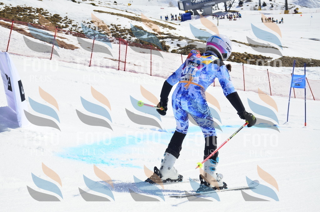 _ELE0653 | holidayphoto