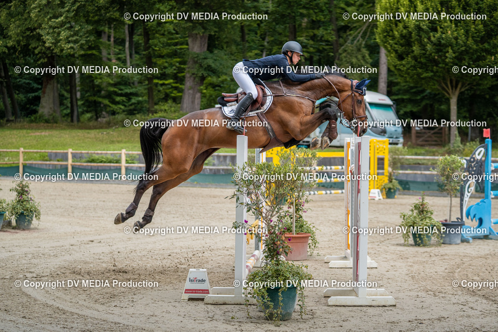 Hessische Tag 3-1237 | dv-media-shop - Realisiert mit Pictrs.com