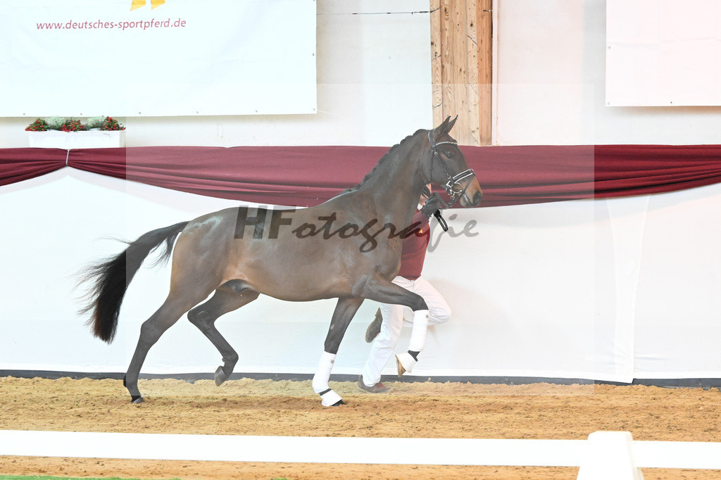Kat-Nr. 9 v. Bonds_Schmidt_66221669 | hf-fotografie - Realisiert mit Pictrs.com