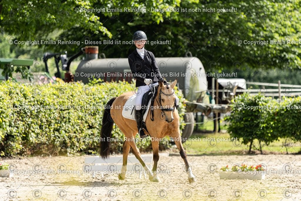 CL5A7723 | Emilia Reinking Fotografie - Realisiert mit Pictrs.com