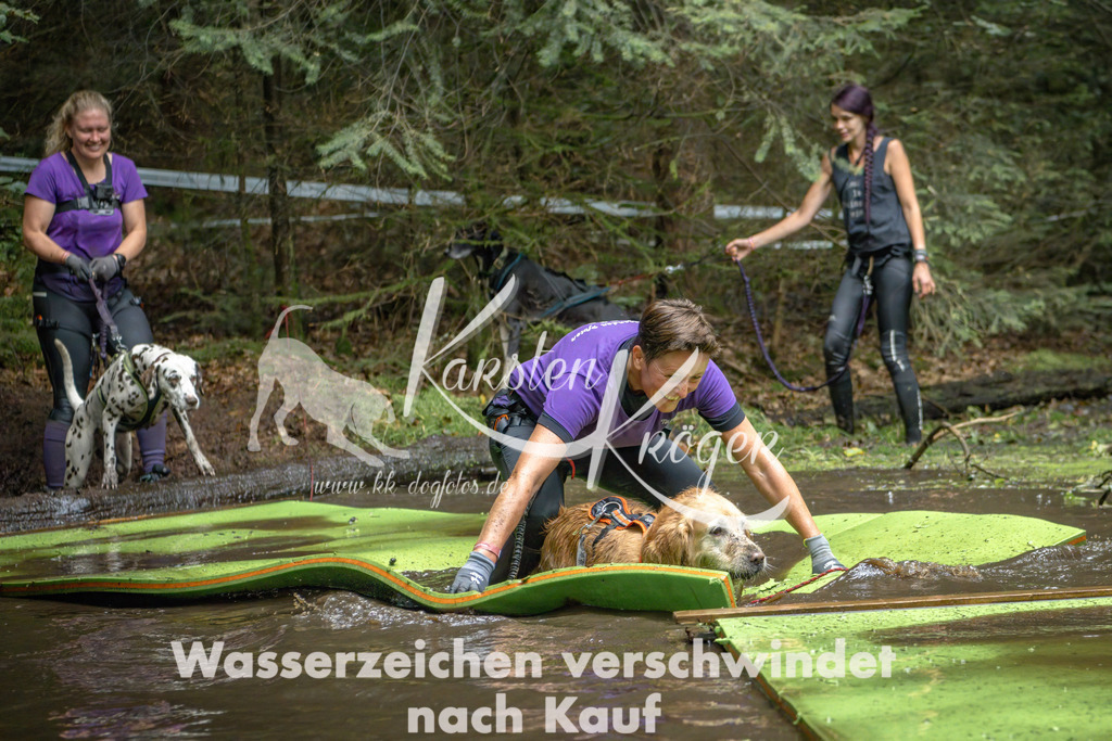 1529_ZZ90895-Bearbeitet | kk-dogfotos