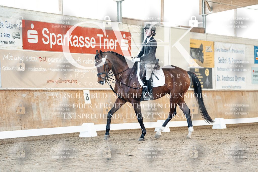 CK908113 | Turnierfotografie Pferdefotografie Trier Rheinland-Pfalz Pferdesport Reitsport Tierfotografie Sportfotografie Pferdevideo Pferdevideografie Equestrianvideography equestrianphotography  - Realisiert mit Pictrs.com