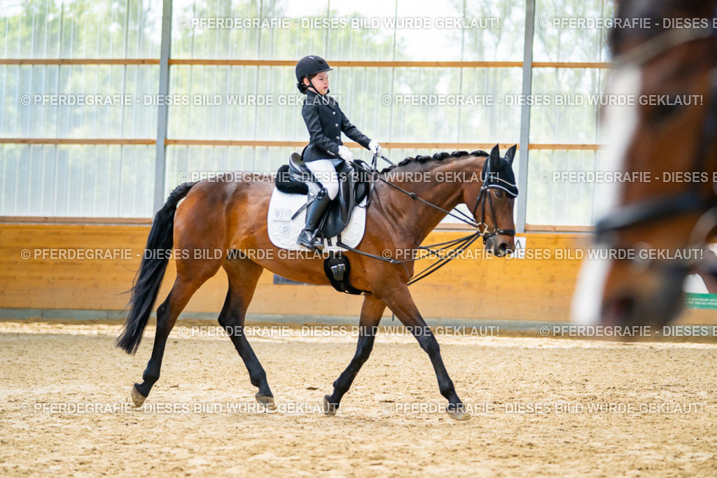 DSC01008 | Pferdegrafie