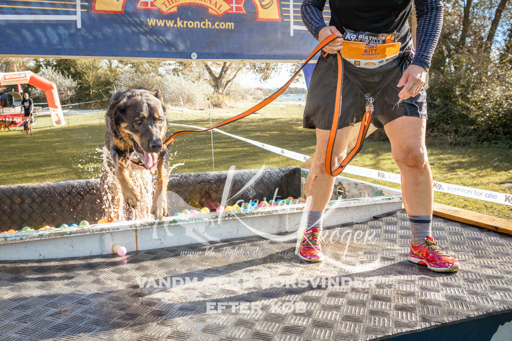 1438_ZZ94772-2 | kk-dogfotos