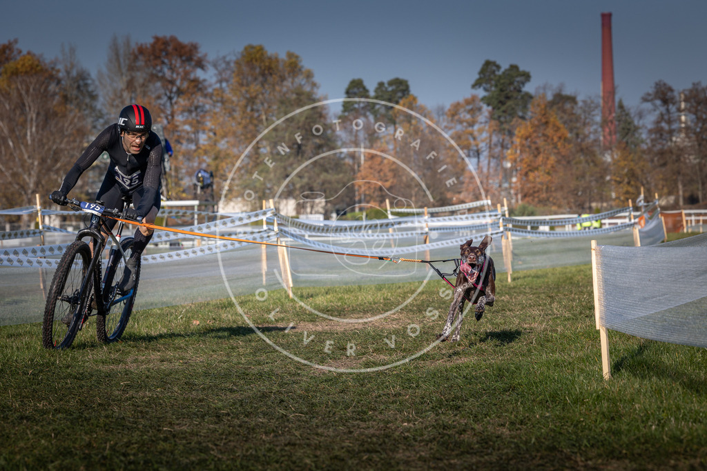 CaniXpix_0L8A5974 | Hundefotografie, Tierfotograf, Pfotenfotografie, Fotoshooting Hund, Hunde Portrait, Hundesport, Hundeportraits, Heideshooting, Hunde, Sportfotograf, Hundefotograf, Turnierhundsport, THS,  - Realisiert mit Pictrs.com