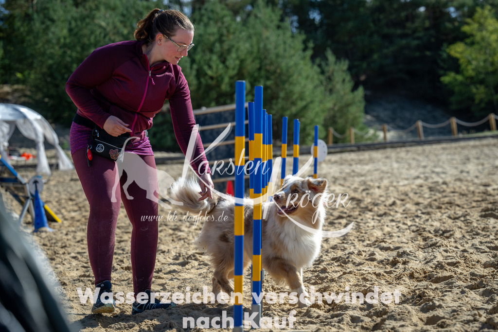 1218_ZZ92824-2 | kk-dogfotos