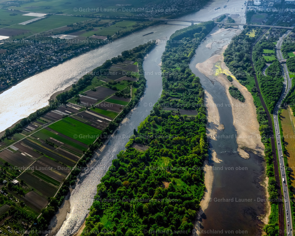 3117711 | Rhein bei Bendorf