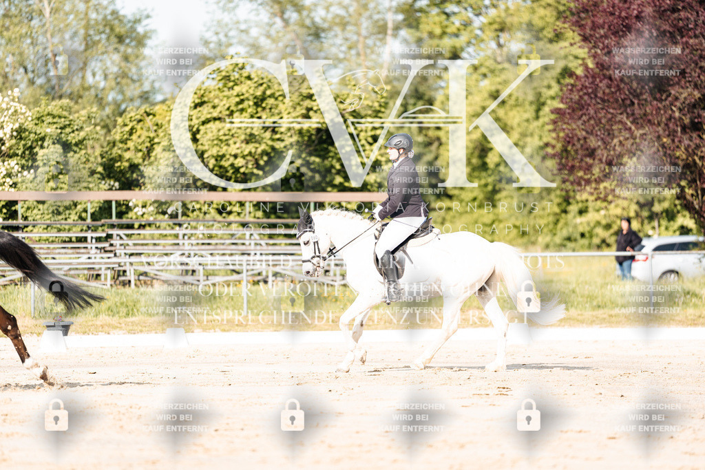 CK900063 | Turnierfotografie Pferdefotografie Trier Rheinland-Pfalz Pferdesport Reitsport Tierfotografie Sportfotografie Pferdevideo Pferdevideografie Equestrianvideography equestrianphotography  - Realisiert mit Pictrs.com