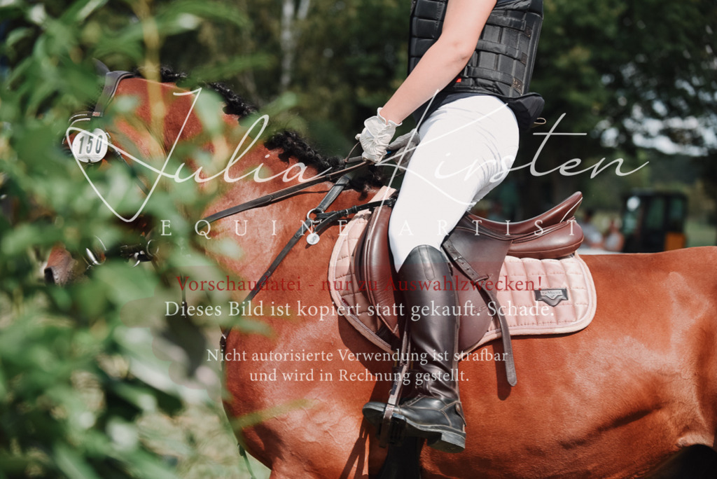 DSC_5670 | Pferde- und Turnierfotografie in Westsachsen. Pferdeportraits, Auftragszeichnungen und intuitive Kunst.