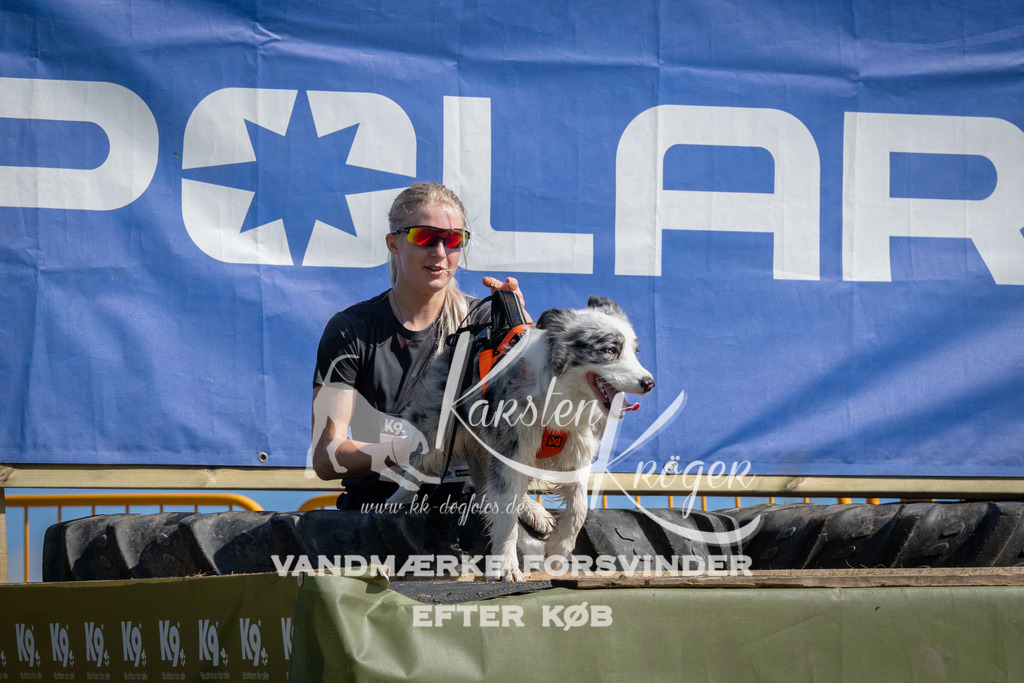 1057_ZZ99844 | kk-dogfotos