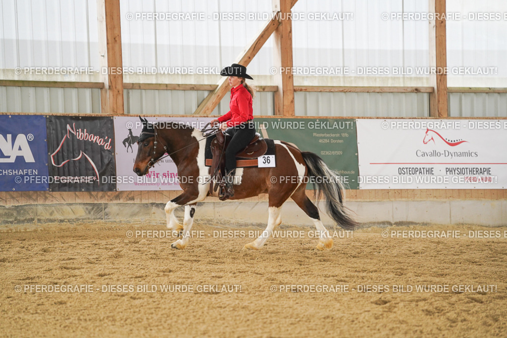 DSC04216 | Pferdegrafie