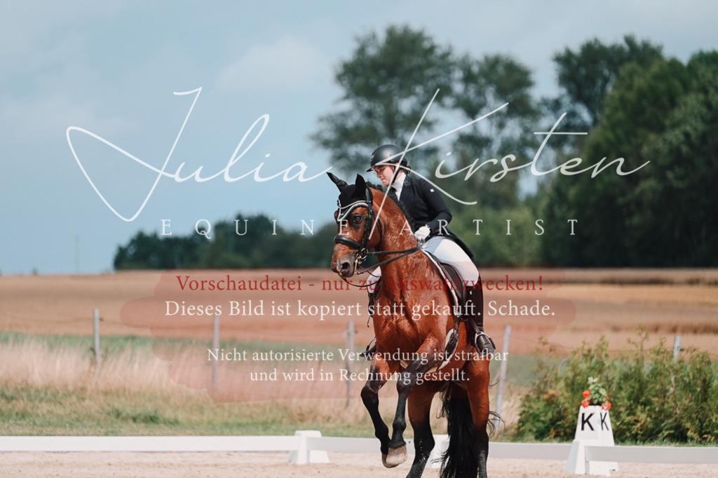 DSC_4383 | Pferde- und Turnierfotografie in Westsachsen. Pferdeportraits, Auftragszeichnungen und intuitive Kunst.