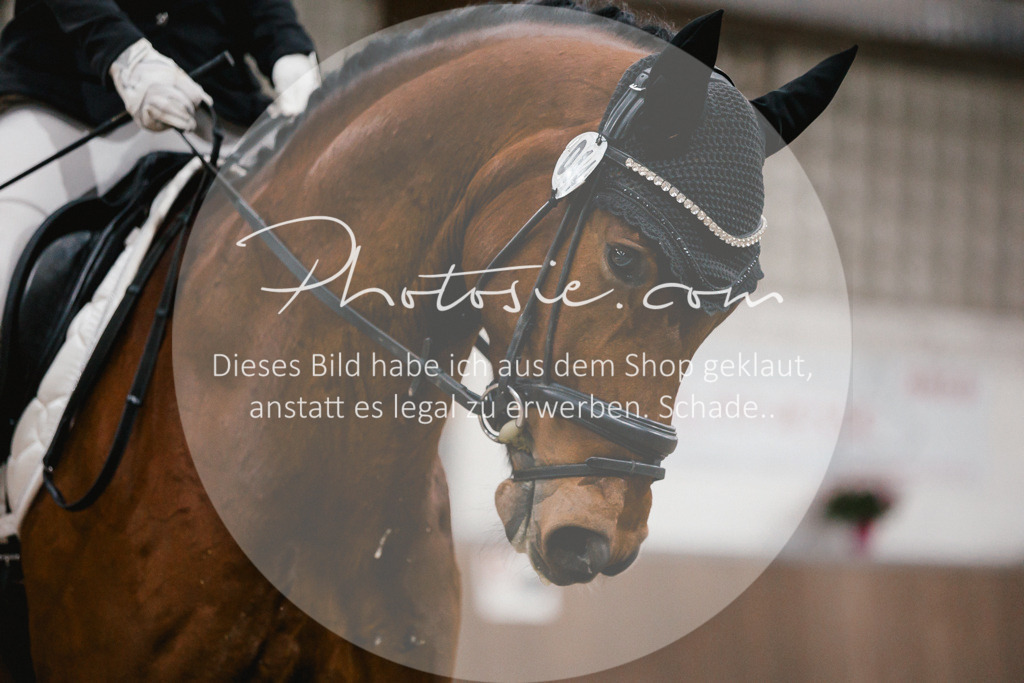 3I6A5977 | Stimmungsvolle Portraits und Reitsportfotografie im Ruhrgebiet und im Münsterland.

Pferdefotografie, Hundefotografie, Tierfotografie, Reportagen, Portraits von Tier und Mensch, Turnierfotografie in Bochum, Recklinghausen, Marl, Haltern am See, Dülmen.. - Realisiert mit Pictrs.com