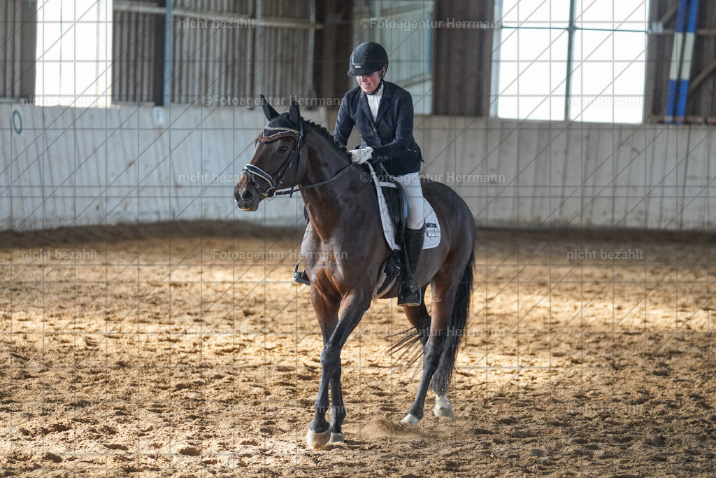 20230917-FAH00014 | Landsberg am Lech, 2023, Kaufbeuren, Kempten, Allgäu, Turnierfotografen Bayern, Fotoagentur Herrmann, Turnierbilder, Reitsport Fotos, Pferdefotograf, Augsburg, Bad Tölz, Dachau, Karlsfeld, Memmingen, Buchloe, Schwabmünchen