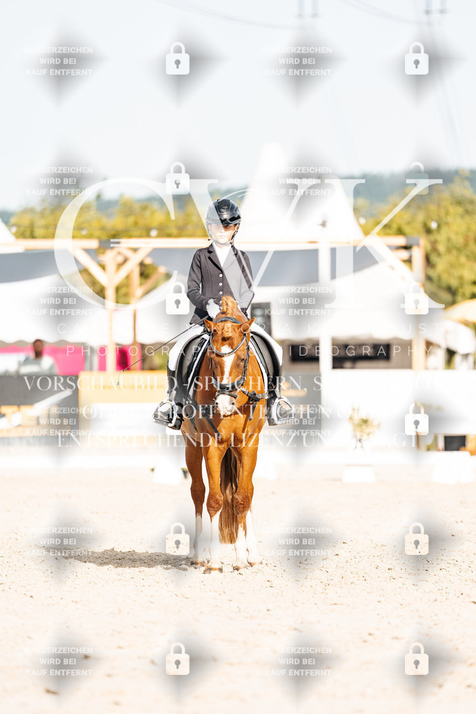 CK905229 | Turnierfotografie Pferdefotografie Trier Rheinland-Pfalz Pferdesport Reitsport Tierfotografie Sportfotografie Pferdevideo Pferdevideografie Equestrianvideography equestrianphotography  - Realisiert mit Pictrs.com
